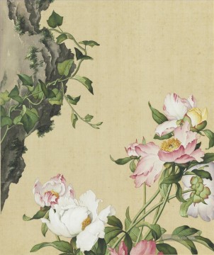  alt - Bild von Paeonia Lactiflora aus Xian und Changchun Album Lang glänzende Giuseppe Castiglione alte China Tinte